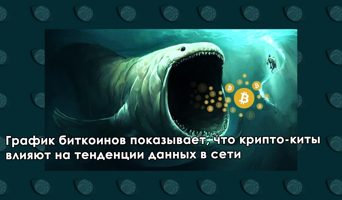 График биткоинов показывает, что крипто-киты влияют на тенденции данных в сети