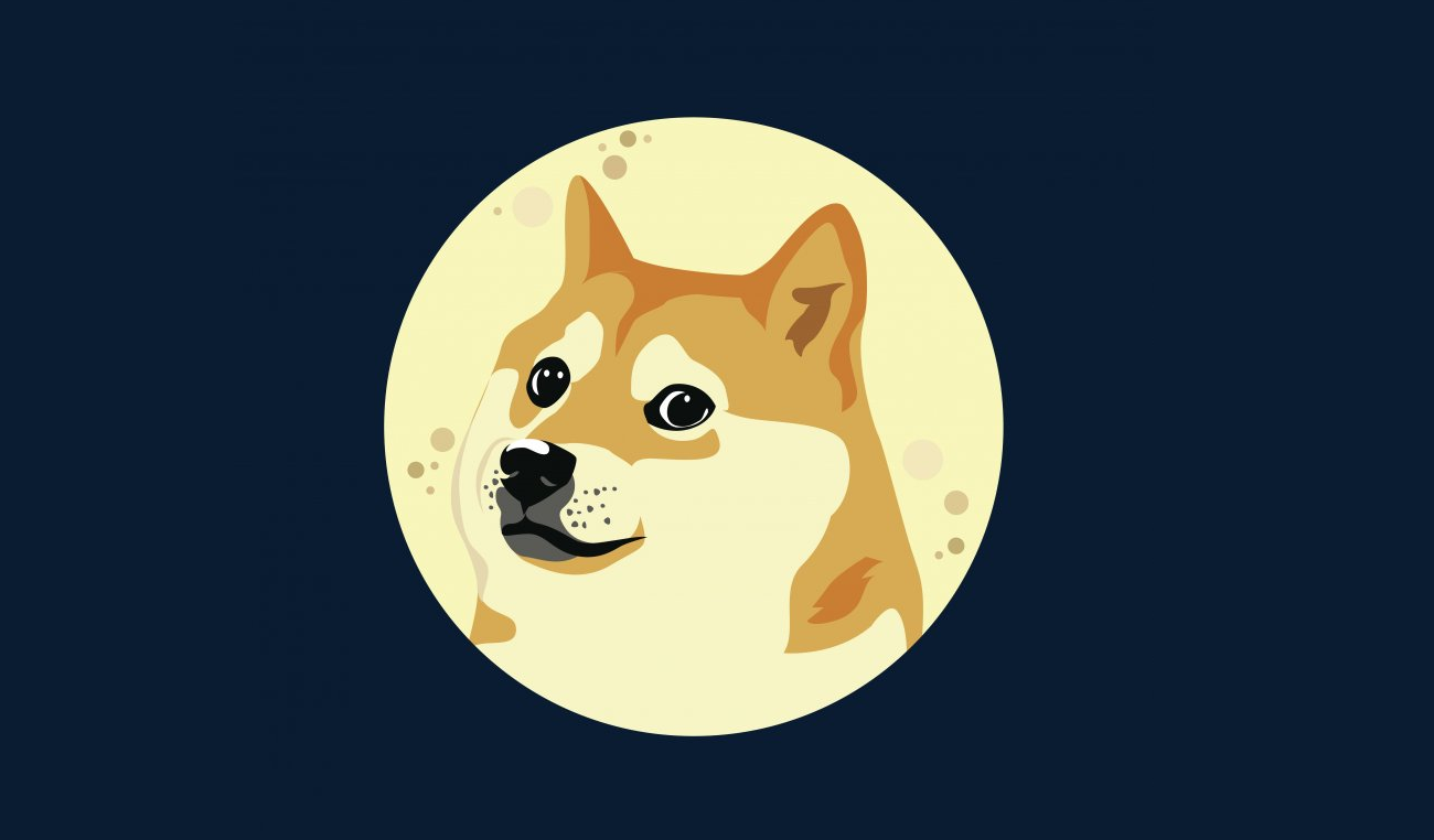 dogecoin crypto dog